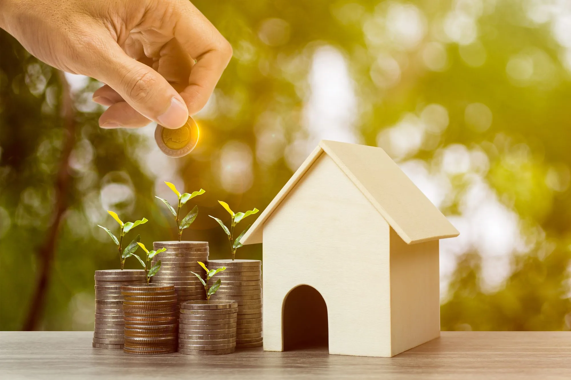 Beautiful homes at an affordable price